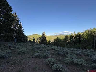 734 Deer Trail
