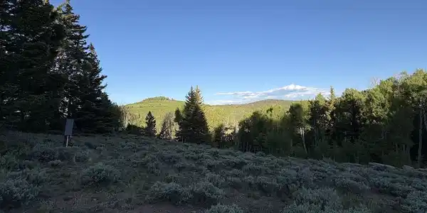 734 Deer Trail