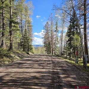 97 Aspen Trail