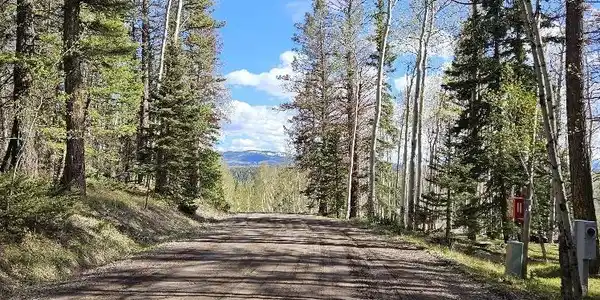 97 Aspen Trail