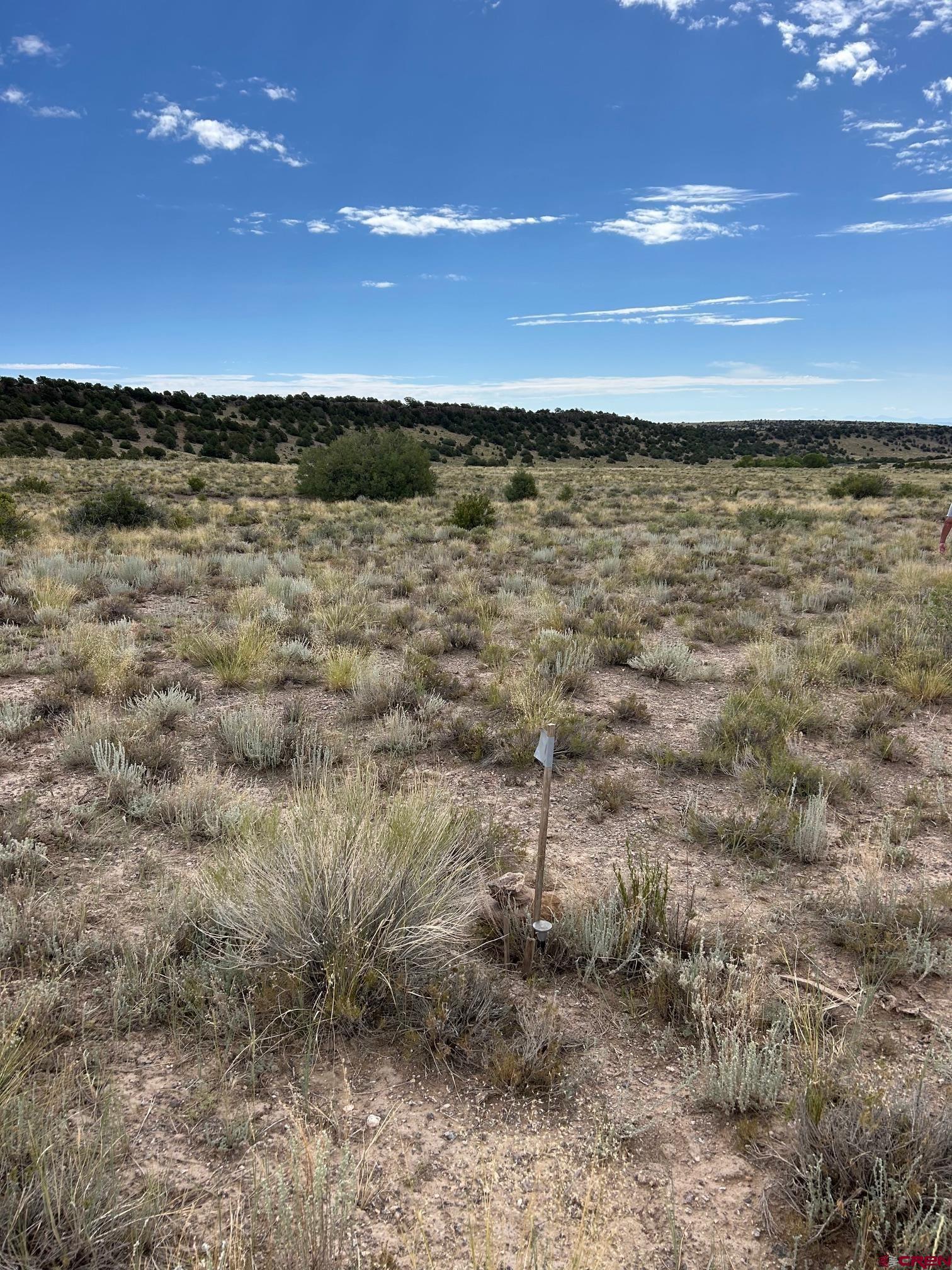 Image 2: SW Corner