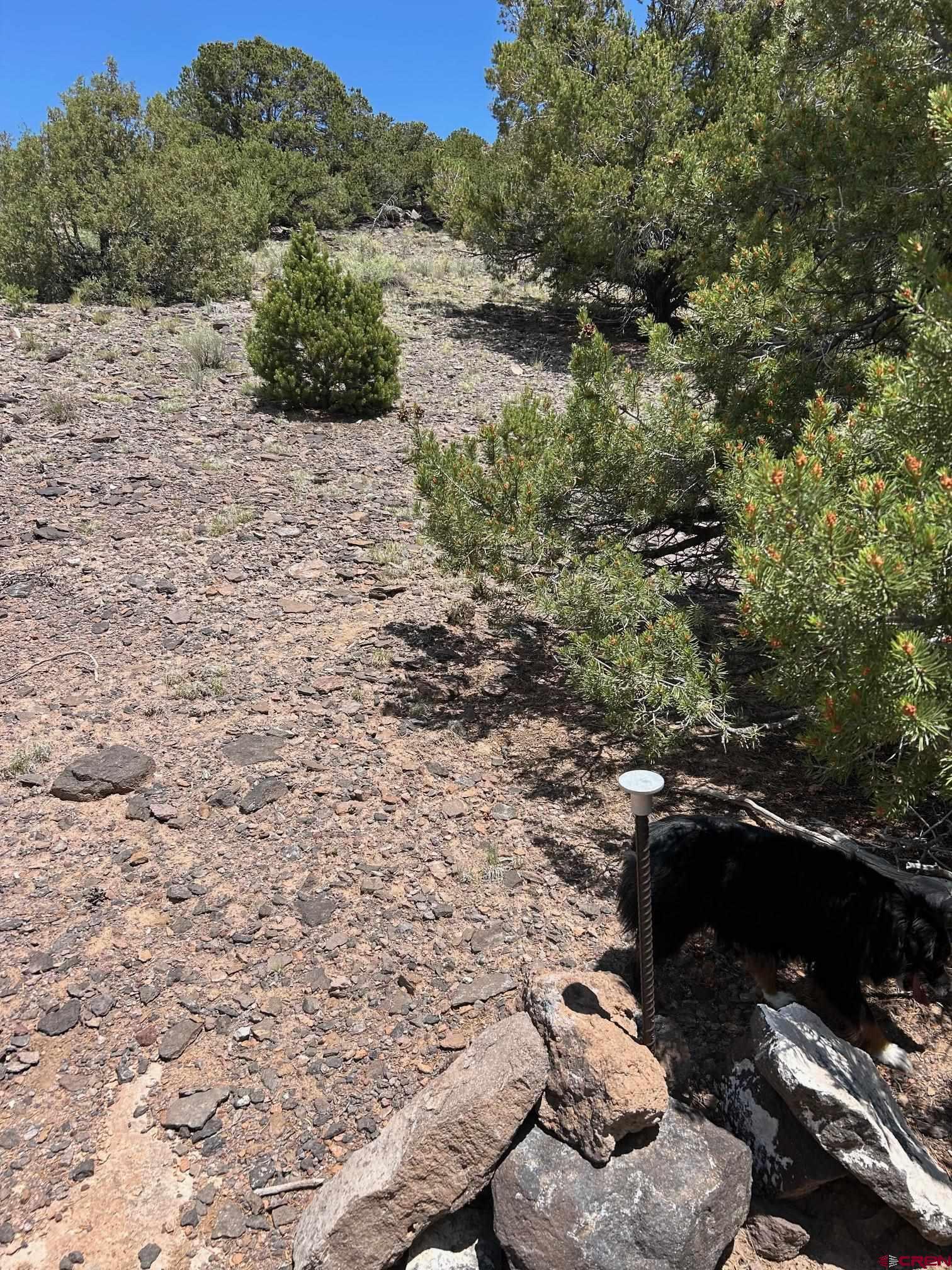 Image 3: NE Corner Top of Hill