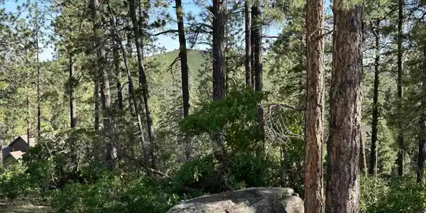 72 Cabin Creek Drive