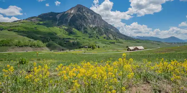 375 Saddle Ridge Ranch Road