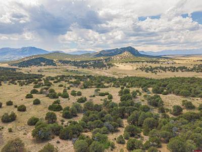 TBD County Rd. 521