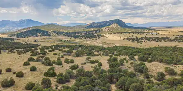 TBD County Rd. 521