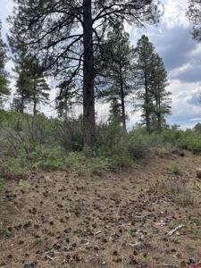 181 River Run Dr