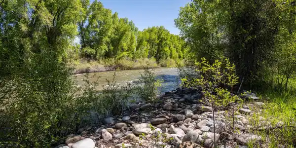 255 Riverwalk Drive