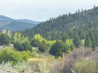 2166 Bear Creek Circle