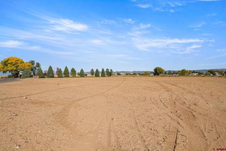 Lot 2 6260 Road