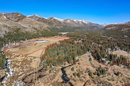 156 Golden Forest Road
