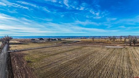 TBD Lot 2 Bronco Court