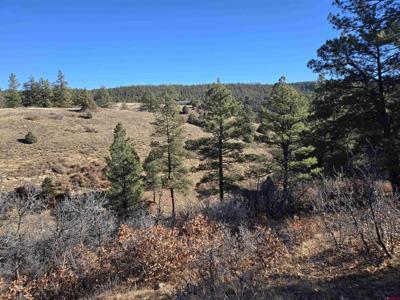 X County 359 Road