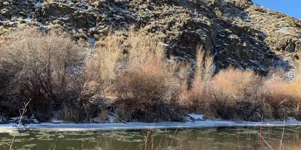 112 Tomichi Creek Loop
