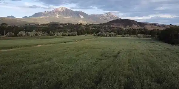 Lot 1 - TBD Hwy 133 Highway