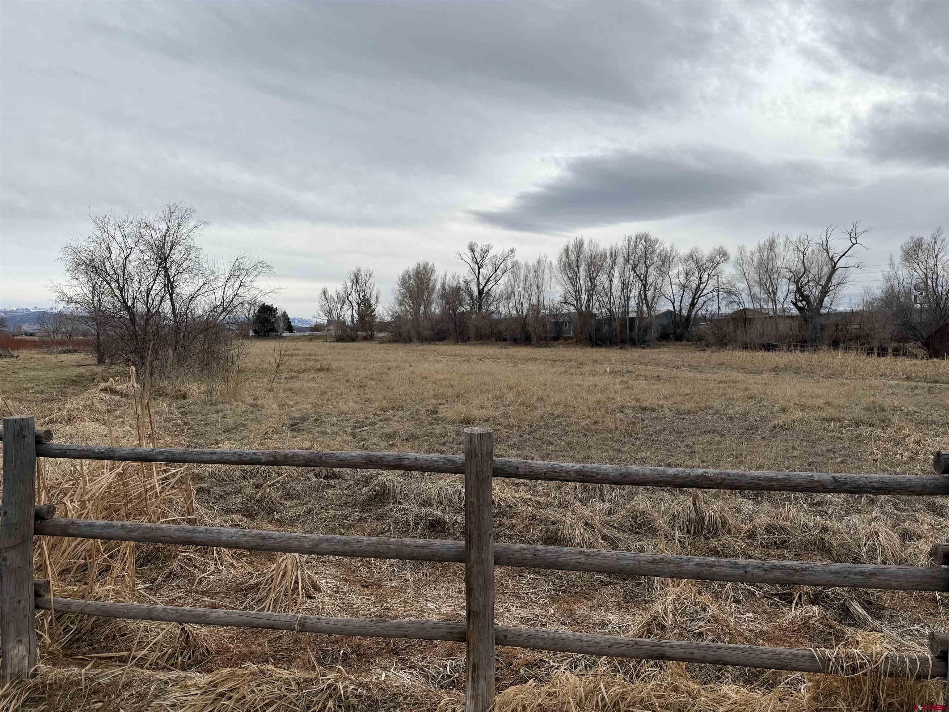 Image 4: North end of lot looking south