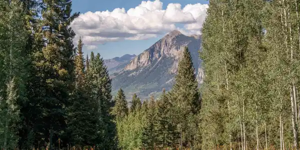 1251 Red Mountain Ranch Lower Loop
