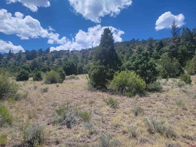 1287 Bear Creek Circle