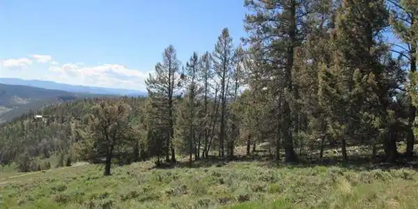 308 Cinnamon Trail