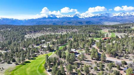 1015 Marmot Drive