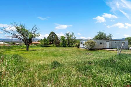 1088 County Road 214