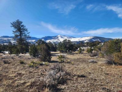 88 Silver Thread Circle