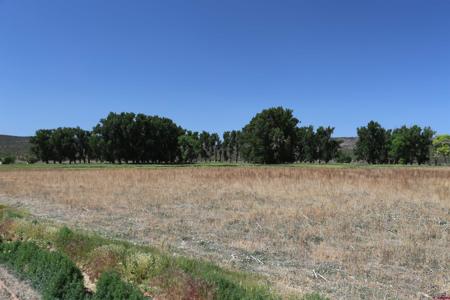 TBD Shavano Valley Road