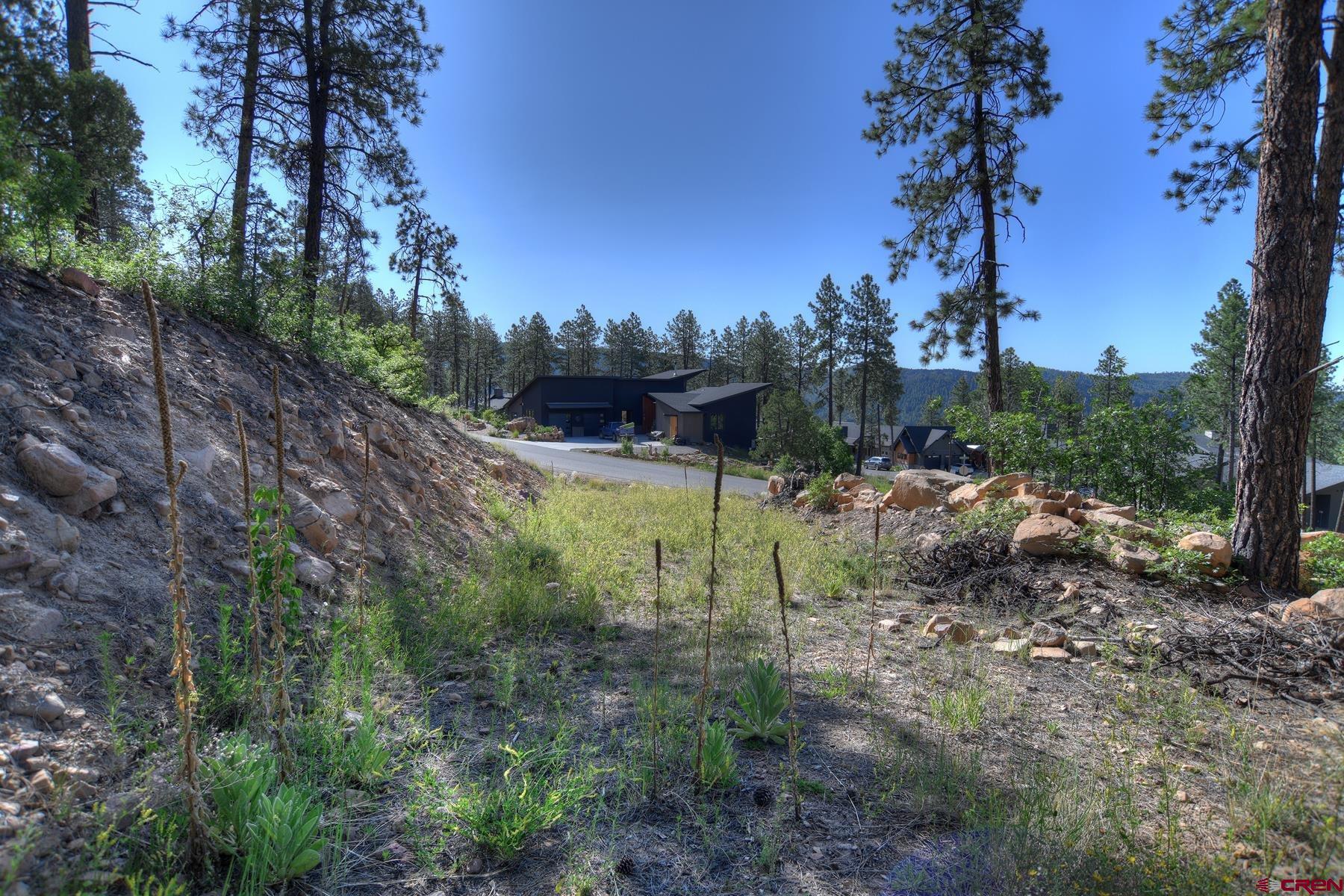 Image 2: Roughed in Driveway