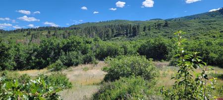 188 Grouse Point