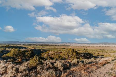 Lot 1 6495 Trail