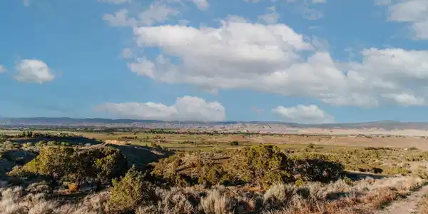 Lot 1 6495 Trail