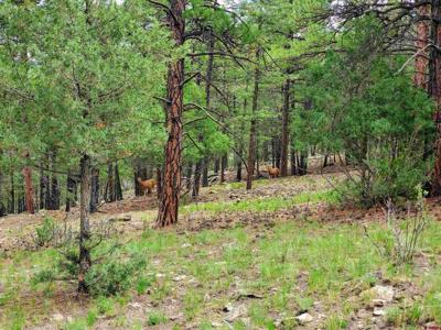 0253 Aspen Circle