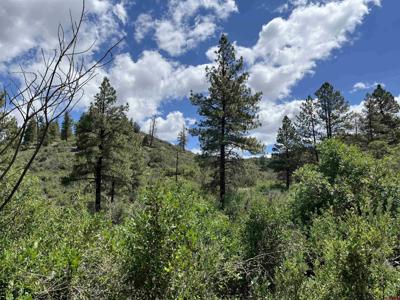278 Pineridge Trail