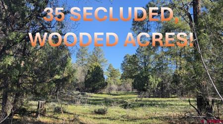 592 Ranchland Drive