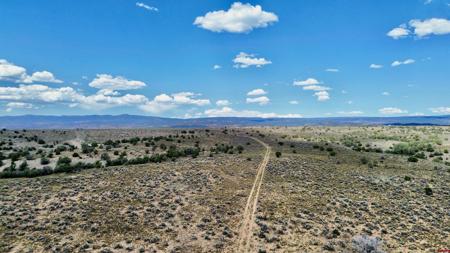 TBD DD Road
