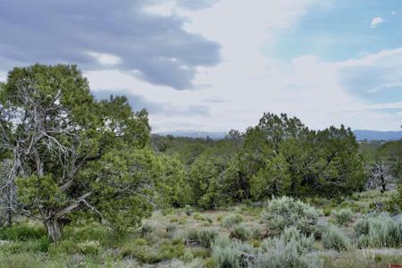 Lot 2 Road 24.3