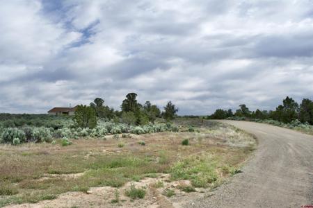 Lot 16 Road K.3