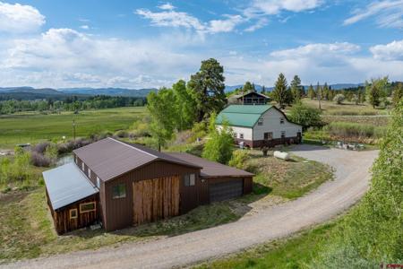 1317 County Road 501