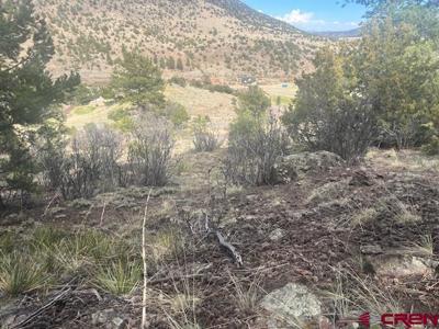 65 Timberline Trail