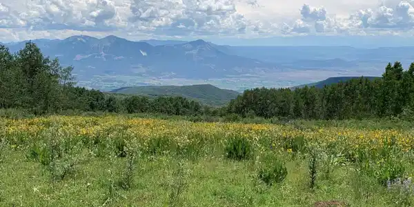 128-1 G National Forest road