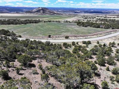 TBD (Lot 10) 7250 Road