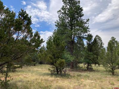 Lot 422 (TBD) South Badger Trail