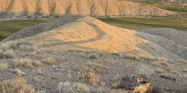 Image 4: Front and back pastures