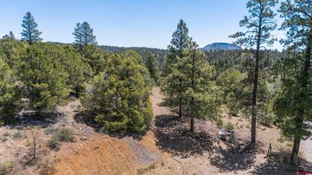 275 Logging Trail Road