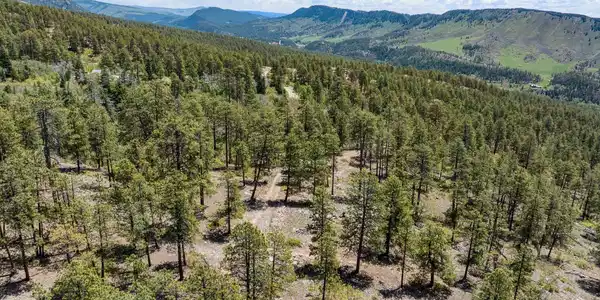 2511 Taylor Ranch Road
