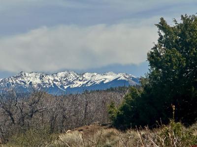 N Gurley Reserve