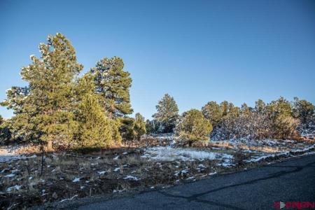 TBD N Badger Trail