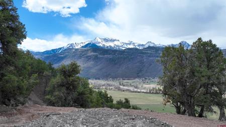 43 Acres Highway 550