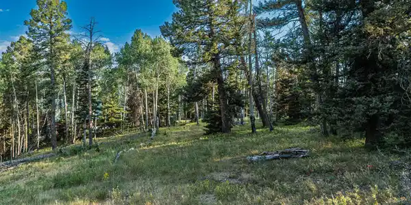 170 Crest Drive