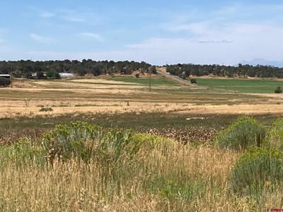 80 AC TBD 42ZS Road
